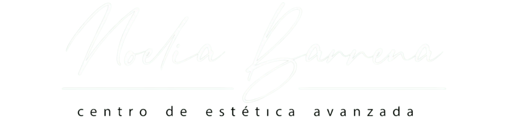 Logo Noelia Barrena sin fondo