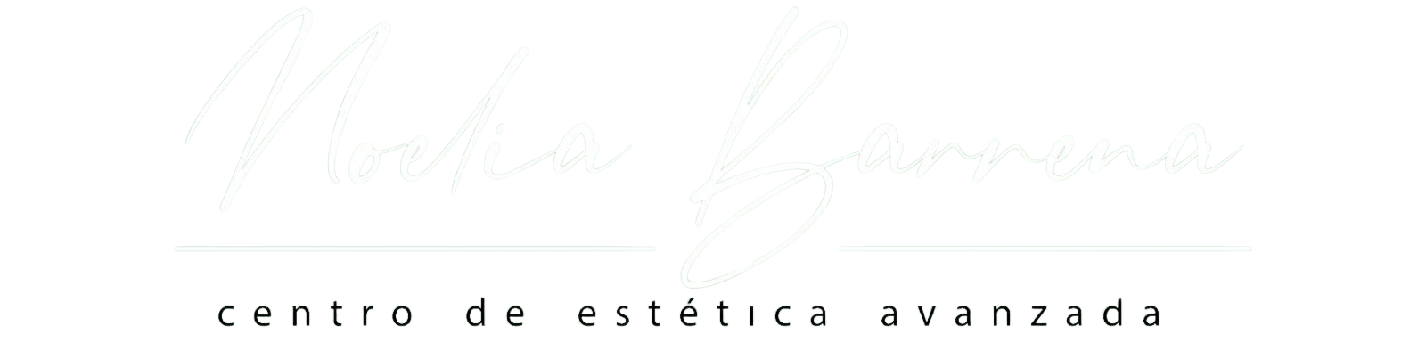 Logo Noelia Barrena sin fondo