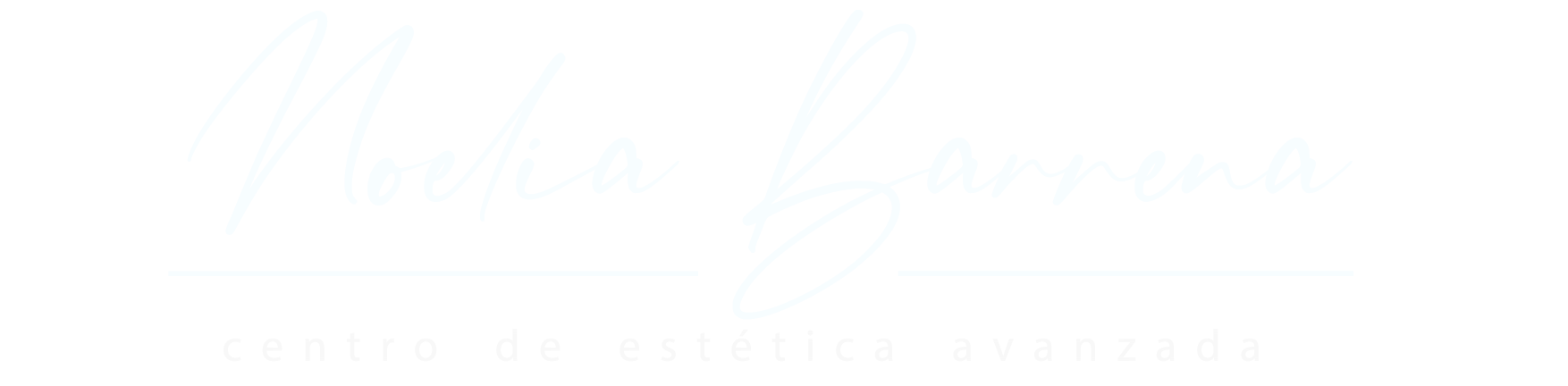 Logo Noelia Barrena en blanco