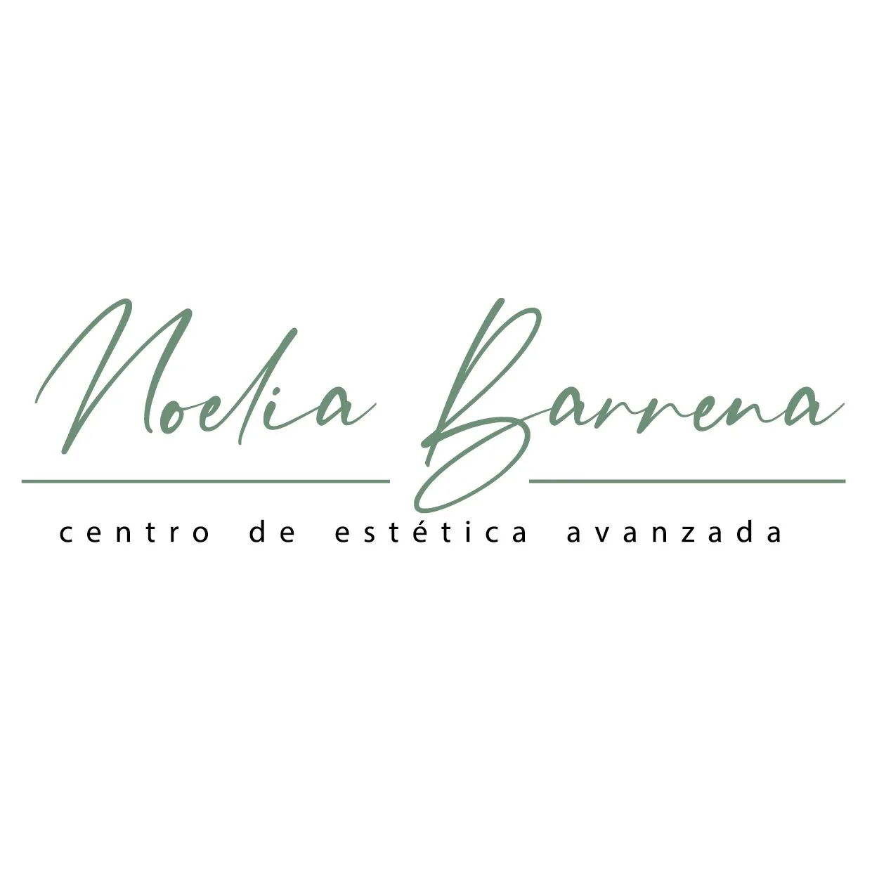 Logo horizontal Noelia Barrena
